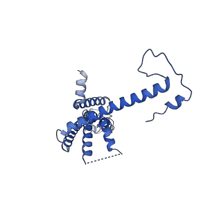 10921_6ytq_L_v1-1
Cryo-EM structure of a dimer of undecameric human CALHM4 in the presence of Ca2+