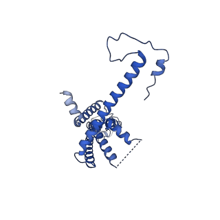 10921_6ytq_M_v1-1
Cryo-EM structure of a dimer of undecameric human CALHM4 in the presence of Ca2+