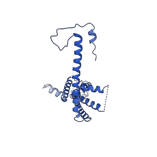 10921_6ytq_N_v1-1
Cryo-EM structure of a dimer of undecameric human CALHM4 in the presence of Ca2+
