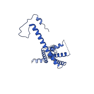 10921_6ytq_O_v1-1
Cryo-EM structure of a dimer of undecameric human CALHM4 in the presence of Ca2+