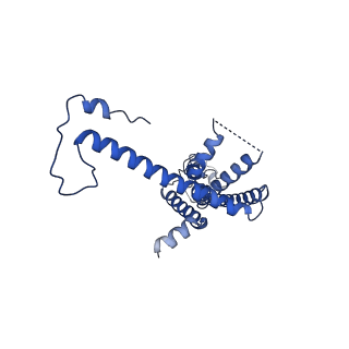 10921_6ytq_P_v1-1
Cryo-EM structure of a dimer of undecameric human CALHM4 in the presence of Ca2+