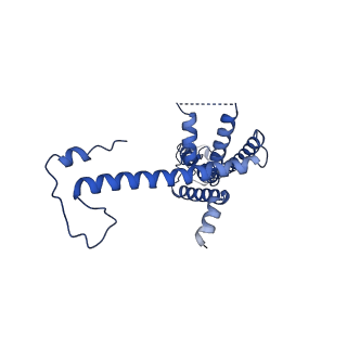 10921_6ytq_Q_v1-1
Cryo-EM structure of a dimer of undecameric human CALHM4 in the presence of Ca2+