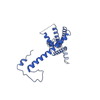 10921_6ytq_R_v1-1
Cryo-EM structure of a dimer of undecameric human CALHM4 in the presence of Ca2+