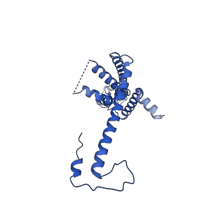 10921_6ytq_S_v1-1
Cryo-EM structure of a dimer of undecameric human CALHM4 in the presence of Ca2+