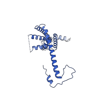 10921_6ytq_T_v1-1
Cryo-EM structure of a dimer of undecameric human CALHM4 in the presence of Ca2+