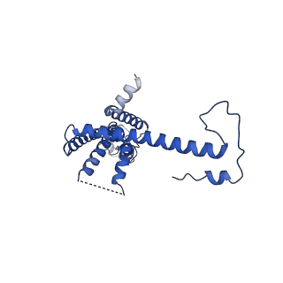 10921_6ytq_V_v1-1
Cryo-EM structure of a dimer of undecameric human CALHM4 in the presence of Ca2+