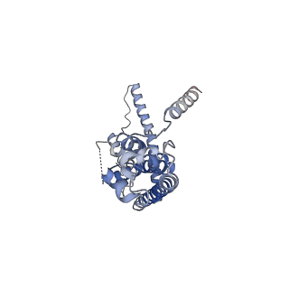 10924_6ytv_A_v1-1
Cryo-EM structure of decameric human CALHM6 in the presence of Ca2+