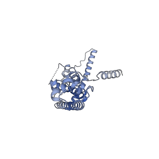 10924_6ytv_B_v1-1
Cryo-EM structure of decameric human CALHM6 in the presence of Ca2+