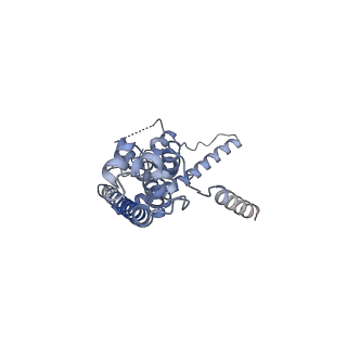 10924_6ytv_C_v1-1
Cryo-EM structure of decameric human CALHM6 in the presence of Ca2+