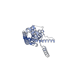10924_6ytv_D_v1-1
Cryo-EM structure of decameric human CALHM6 in the presence of Ca2+
