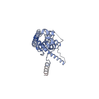 10924_6ytv_E_v1-1
Cryo-EM structure of decameric human CALHM6 in the presence of Ca2+