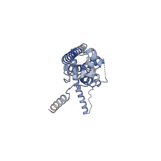 10924_6ytv_F_v1-1
Cryo-EM structure of decameric human CALHM6 in the presence of Ca2+
