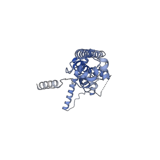 10924_6ytv_G_v1-1
Cryo-EM structure of decameric human CALHM6 in the presence of Ca2+