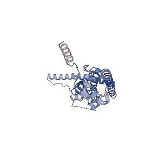 10924_6ytv_I_v1-1
Cryo-EM structure of decameric human CALHM6 in the presence of Ca2+