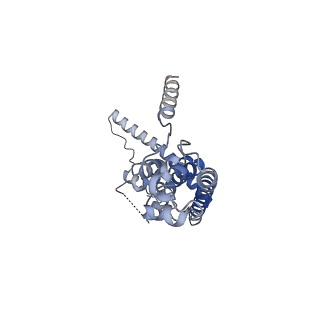 10924_6ytv_J_v1-1
Cryo-EM structure of decameric human CALHM6 in the presence of Ca2+