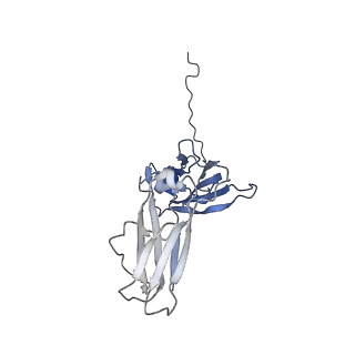34085_7ytc_A_v1-2
Cryo-EM structure of human FcmR bound to IgM-Fc/J