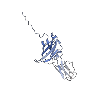 34085_7ytc_D_v1-2
Cryo-EM structure of human FcmR bound to IgM-Fc/J