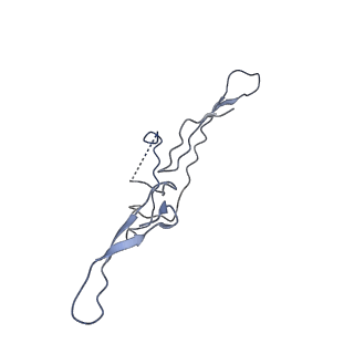 34085_7ytc_J_v1-2
Cryo-EM structure of human FcmR bound to IgM-Fc/J