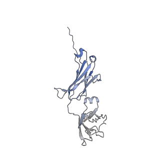 34086_7ytd_B_v1-2
Cryo-EM structure of four human FcmR bound to IgM-Fc/J