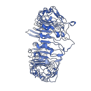 34091_7ytp_A_v1-0
TLR7 in complex with an inhibitor
