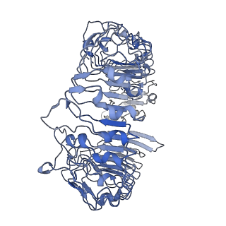 34091_7ytp_B_v1-0
TLR7 in complex with an inhibitor