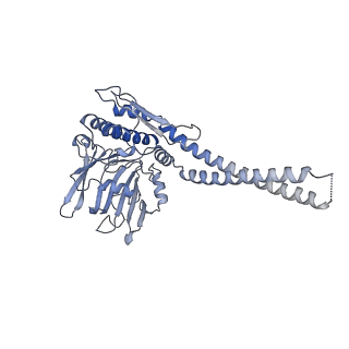 10930_6yuf_A_v1-1
Cohesin complex with loader gripping DNA