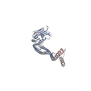 10930_6yuf_C_v1-1
Cohesin complex with loader gripping DNA
