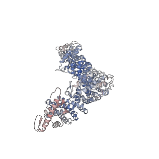 10930_6yuf_D_v1-1
Cohesin complex with loader gripping DNA