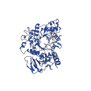 10933_6yup_A_v1-0
Heterotetrameric structure of the rBAT-b(0,+)AT1 complex