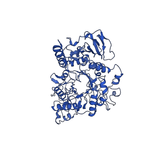 10933_6yup_C_v1-0
Heterotetrameric structure of the rBAT-b(0,+)AT1 complex