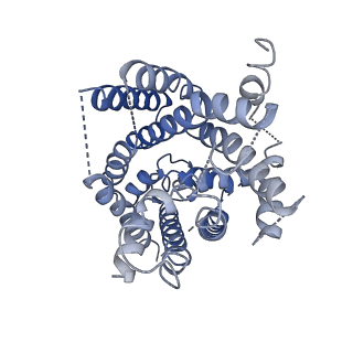 10933_6yup_D_v1-0
Heterotetrameric structure of the rBAT-b(0,+)AT1 complex