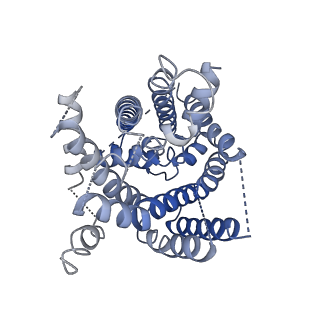 10933_6yup_E_v1-0
Heterotetrameric structure of the rBAT-b(0,+)AT1 complex
