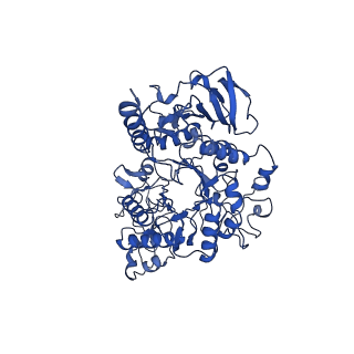 10936_6yuz_C_v1-0
Homodimeric structure of the rBAT complex