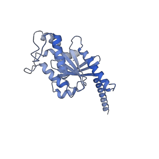 34099_7yu5_A_v1-0
Human Lysophosphatidic Acid Receptor 1-Gi complex bound to ONO-0740556, state1