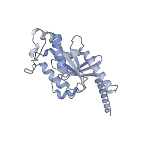 34100_7yu6_A_v1-0
Human Lysophosphatidic Acid Receptor 1-Gi complex bound to ONO-0740556, state2