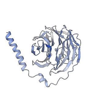34100_7yu6_B_v1-0
Human Lysophosphatidic Acid Receptor 1-Gi complex bound to ONO-0740556, state2