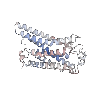 34100_7yu6_R_v1-0
Human Lysophosphatidic Acid Receptor 1-Gi complex bound to ONO-0740556, state2