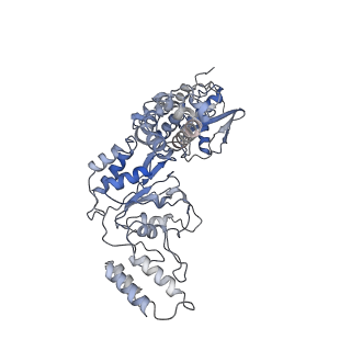 34108_7yum_C_v1-0
MtaLon-Apo for the spiral oligomers of tetramer