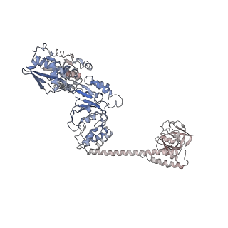 34109_7yup_D_v1-0
MtaLon-Apo for the spiral oligomers of pentamer