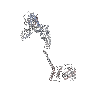 34109_7yup_E_v1-0
MtaLon-Apo for the spiral oligomers of pentamer