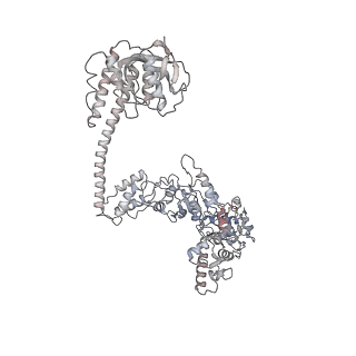 34110_7yut_E_v1-0
MtaLon-Apo for the spiral oligomers of hexamer