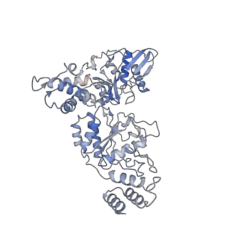34112_7yuv_B_v1-0
MtaLon-ADP for the spiral oligomers of tetramer