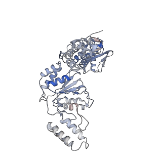 34112_7yuv_C_v1-0
MtaLon-ADP for the spiral oligomers of tetramer
