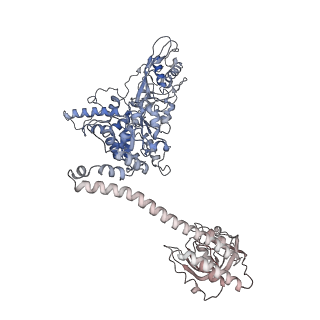 34113_7yuw_B_v1-0
MtaLon-ADP for the spiral oligomers of pentamer