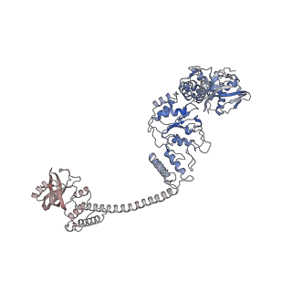 34113_7yuw_D_v1-0
MtaLon-ADP for the spiral oligomers of pentamer
