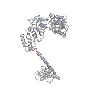 34113_7yuw_E_v1-0
MtaLon-ADP for the spiral oligomers of pentamer