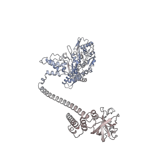 34114_7yux_A_v1-0
MtaLon-ADP for the spiral oligomers of hexamer