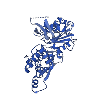 6844_5yu8_A_v1-0
Cofilin decorated actin filament