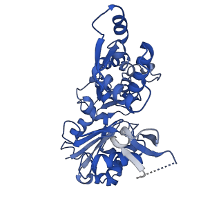 6844_5yu8_B_v1-0
Cofilin decorated actin filament