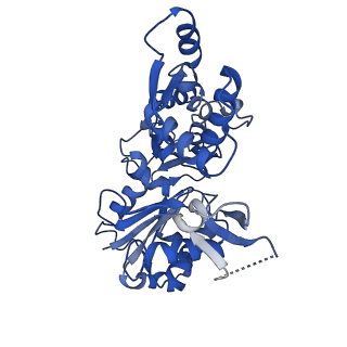 6844_5yu8_B_v1-1
Cofilin decorated actin filament